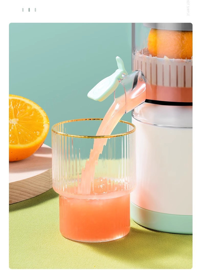 Multi functional electric juicer